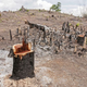 Image for article titled Study Finds Mass Extinction Could Free Up Billions Of Dollars In Conservation Funding By 2024